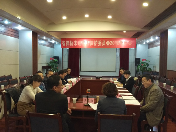 2016年12月21日下午，甘肃省律师协会未成年人保护委员会2016年年会在兰州召开。来自全省各市州的12名委员参加年会，省律协未成年人?；の被嶂魅瓮醮好分鞒帜昊?。 年会上，省律协副会长王祖国首先致