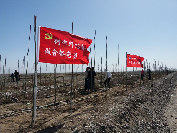 四月春光好，正是植树时。4月20日，我市金彤、重光、振泽、金厦、锦舒、森瑞、正峰、陈兴国和雪山9家律师事务所的30多名律师，积极响应市委、市政府号召，参加了以“呵护绿水青山、共建美丽张掖”为主题的春季