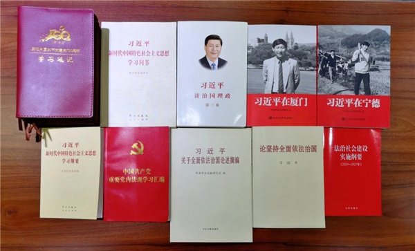 为深入学习贯彻习近平法治思想，认真贯彻落实习近平总书记关于律师工作的重要指示批示精神，突出政治主线，强化思想引领，深入开展律师行业政治教育、警示教育、典型教育。4月2日，陇南市律师行业突出问题专项治理